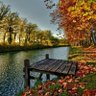 فارس profil fotoğrafı