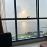 tutu 的头像