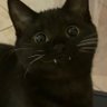 dudunach's profile picture
