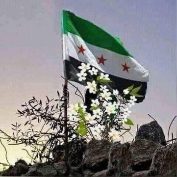 ثائر المعروف's profile picture