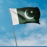 Zainabzaidi's profile picture