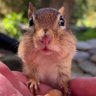 ilg's profile picture