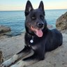 Goddamngreek profil fotoğrafı