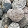 Фото профиля DogTurd