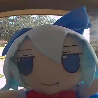 CirnoIsDumb's profile picture