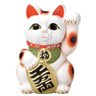 kazu/東京まねきねこ's profile picture