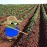 Profilbild von PepeGranjero