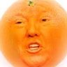 Orange Man Back's profile picture