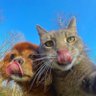 custodio's profile picture