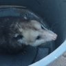 AJ 🐀 (archive - goto link.nclf.net for BSky)'s profile picture