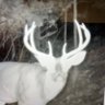 Mac Hurley's profile picture
