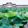Фото профиля 张秋天(互fo)