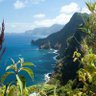 Azores Madeira's profile picture
