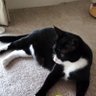 らいと profil fotoğrafı