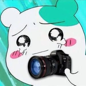 yubin050203's profile picture