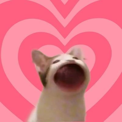 309호 작업실💫(애옹)'s profile picture