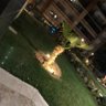 .. profil fotoğrafı