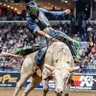 Фото профиля Bull Ryder
