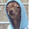 Tony lol's profile picture