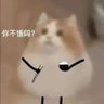 173.7 的头像