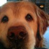 Kurk's profile picture