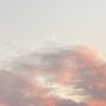 ✿ profil fotoğrafı