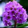 Фото профиля احمد الساعدي