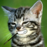 Crimson's profile picture