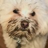 Profilbild von Skullyhawk