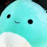 Profilbild von misc