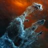 Фото профиля Michael T.