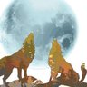 TwoDogsBarking 的头像