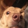 JustJulio 的头像