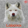 Profilbild von Lobo Lxix