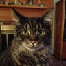 Profilbild von Samspde
