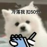 鲨鱼不加辣椒's profile picture