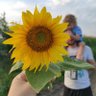 Сергей Корент profil fotoğrafı