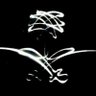 فوق هام السحب 🇸🇦 🇦🇪 / رئيس تحرير حسابي's profile picture