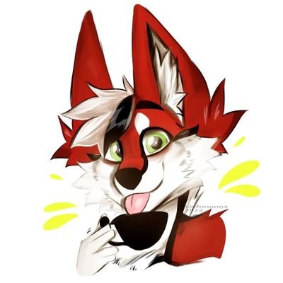 Your daily dose of cuteness ! #V3's profile picture