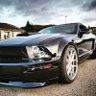 Profilbild von Shelby-FB