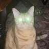 Profilbild von Billy Boop