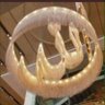 Profilbild von الغامدي صالح عقارات