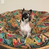 beastiizthebest's profile picture