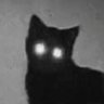 Lynx's profile picture