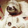 Th3PwnyExpress's profile picture