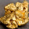Фото профиля Coarsegold Guy
