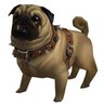 Pugloot profil fotoğrafı
