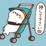 ちろ 的头像