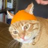 Фото профиля Alex