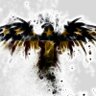 Son Of Patriots profil fotoğrafı